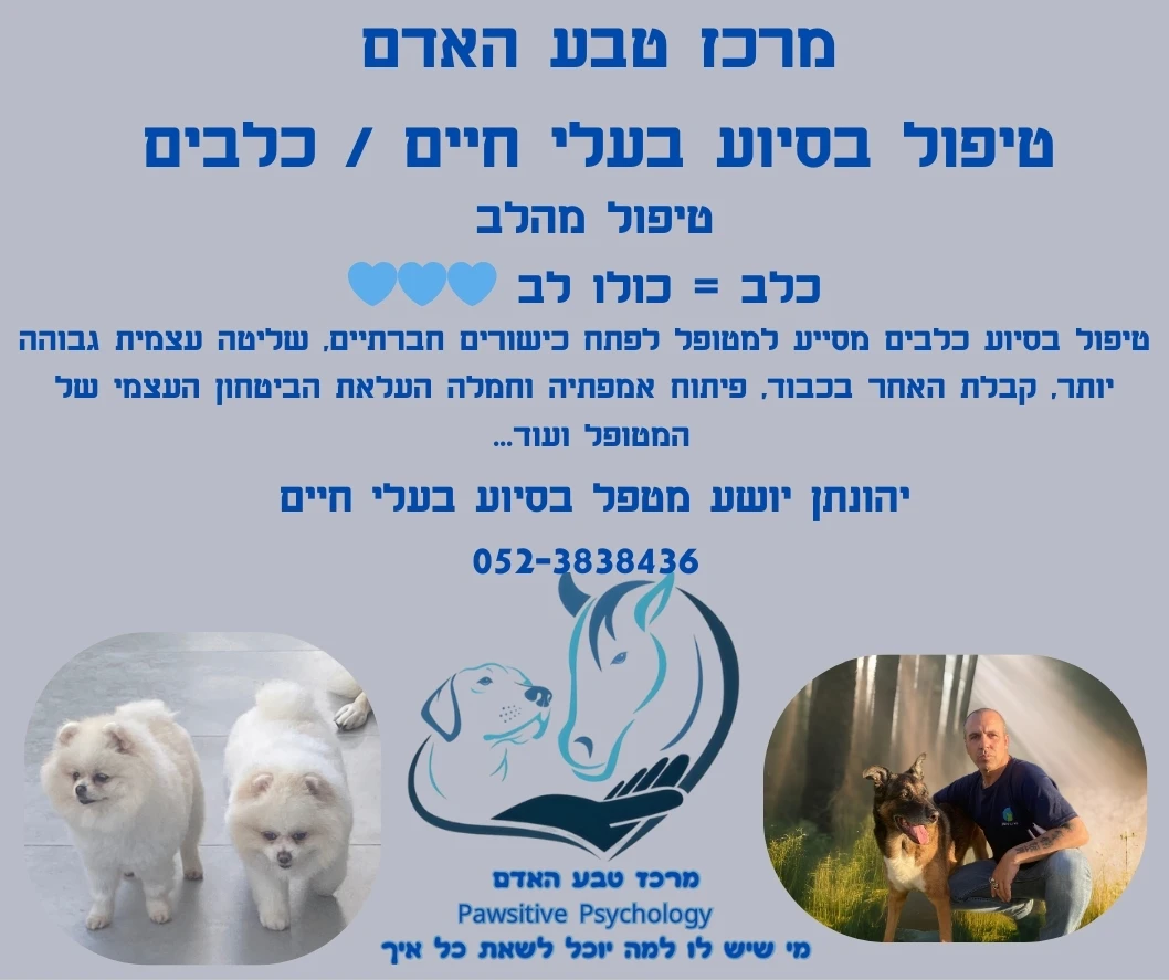 תמונת הפעילות