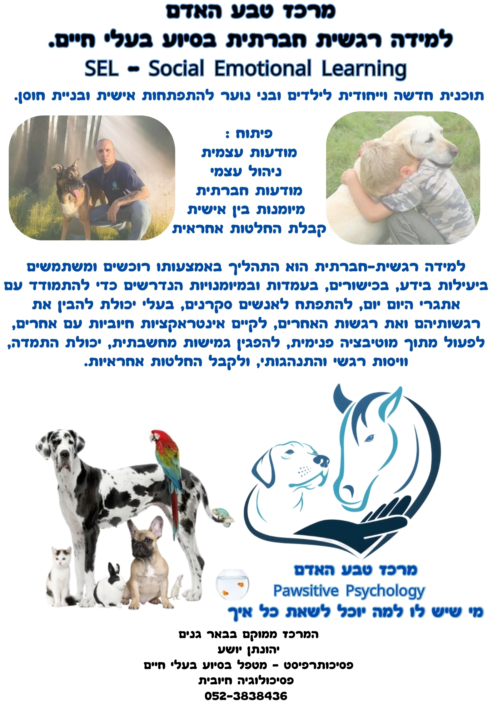 תמונת הפעילות