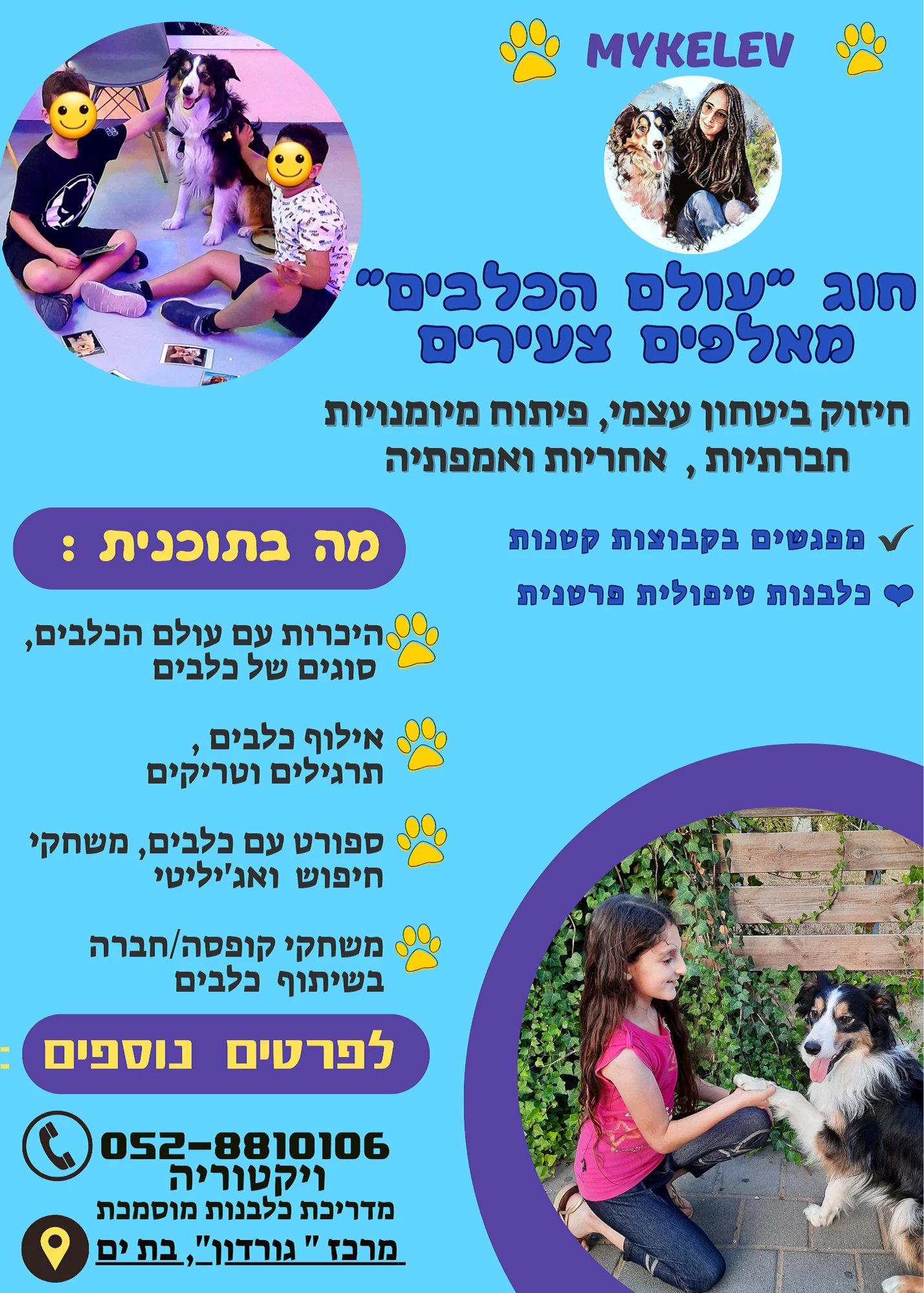 תמונת הפעילות