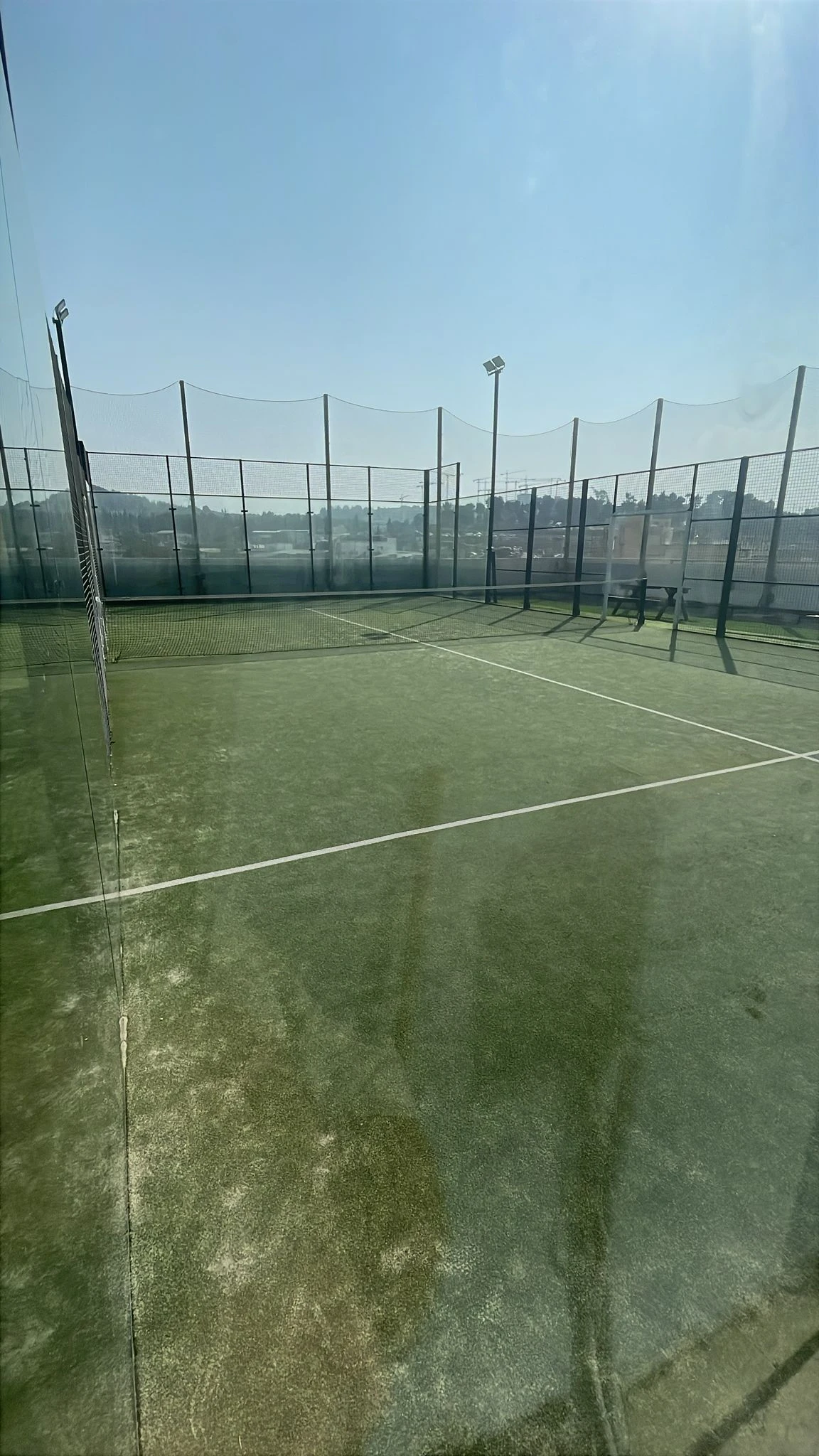 תמונת הפעילות